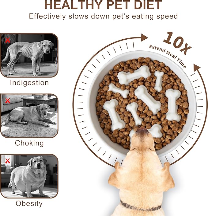 Ceramic Slow Feeder Dog Bowls, Ceramic Slow Feeder Maze Dog Food Bowl, Slow Eating Dog Bowl and Slow Feeder Dog Bowl Anti-Choking for Daily Pet Feeding （White Bone）