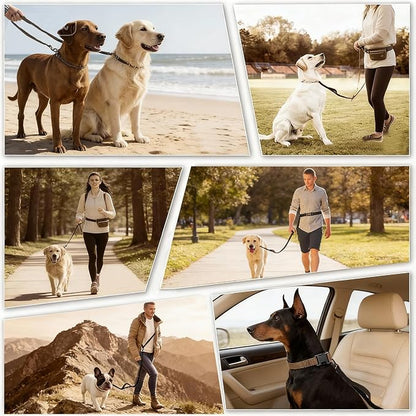 Heavy Duty No-Pull Dog Leash, 9.5ft Hands-Free Waist & Crossbody Bungee Leash with Adjustable Belt, Detachable Car Seat Belt & Reflective Strip for Large Medium Dogs, Black