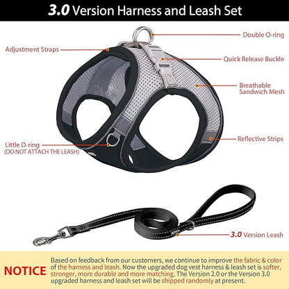 AIITLE Small Harness for Puppy with A Leash - Dog Vest Harness with Super Breathable Mesh, Reflective No-Pull Pet Harness for Outdoor Walking, Running for Small Dogs, Cats Black XXS