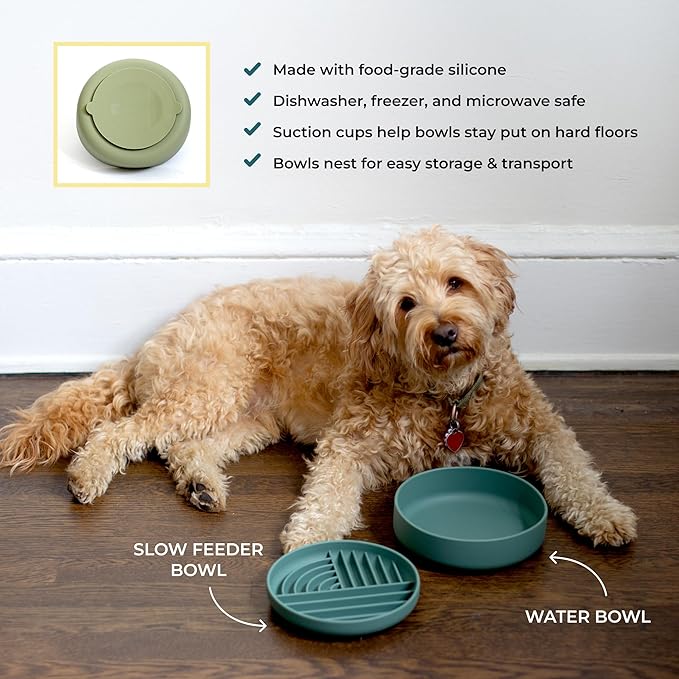 Slow-Feeder & Water Bowl Set by The Dog Tale | Food-Grade Silicone Dog Bowls, BPA-Free, Dishwasher Safe, Freezer Safe (Sage)