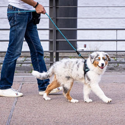 5/6 FT Strong Pet Dog Leash with Soft Padded Handle,Highly Reflective Rope for Night Walking,360-Degree Rotating Metal Buckle Without Tangles,Suitable for Small,Medium and Large Dogs.(6ft)