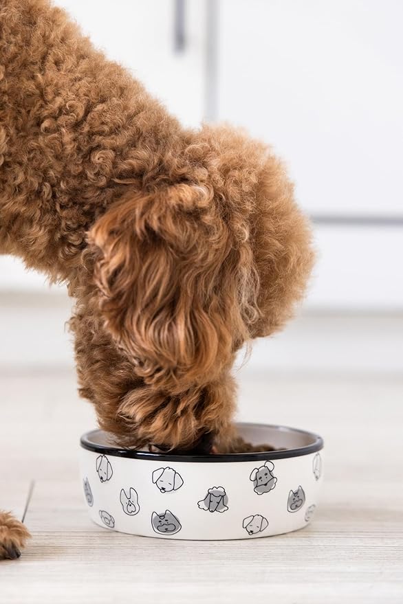 Pearhead Ceramic Dog Faces Dog Bowl, Stoneware Food and Water Dish for Dogs, Heavy Non-Slip Base, Small/Medium 2.25 Cups/ 18 oz