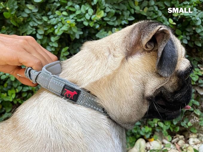 Tuff Pupper Heavy Duty Dog Collar with Handle | Ballistic Nylon Heavy Duty Collar | Padded Reflective Dog Collar with Adjustable Stainless Steel Hardware | Convenient Sizing for All Breeds