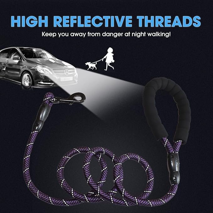 BAAPET 2/4/5/6 FT Dog Leash with Comfortable Padded Handle and Highly Reflective Threads for Small Medium and Large Dogs (5FT-1/2'', Black Purple)
