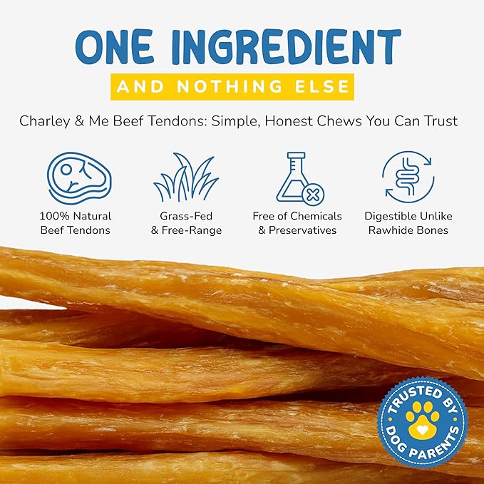 CHARLEY & ME Beef Tendons for Dogs, 100% Natural Beef Puppy Treats, Long-Lasting Dog Chew Toy for Aggressive Chewers - Nutritious Joint Support for Dogs - 6 Inches (Pack of 10)