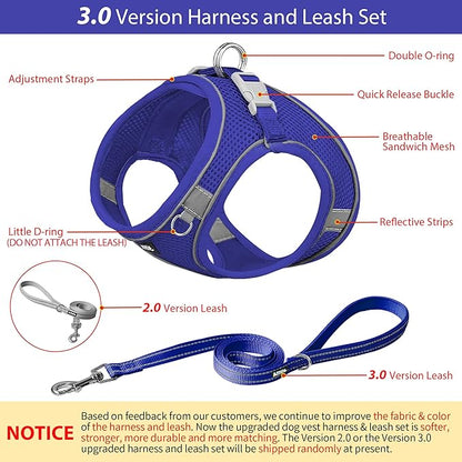 AIITLE Comfortable Dog Harness and Leash Set for Walking - Step in Vest Harness,Reflective Bands, Adjustable No Pull Puppy Essentials, for Small Dogs and House Cats Royal Blue XS