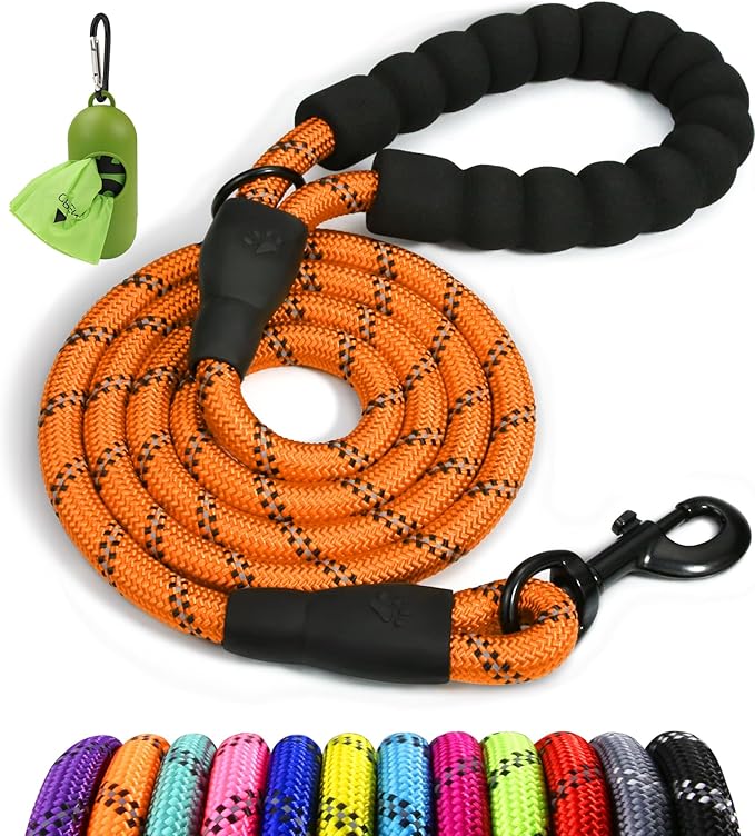 Taglory Rope Dog Leash 5 FT with Comfortable Padded Handle, Highly Reflective Threads Leash and Anti-Tangle Clip for Walking Small Dogs, 3/8 inch, Orange