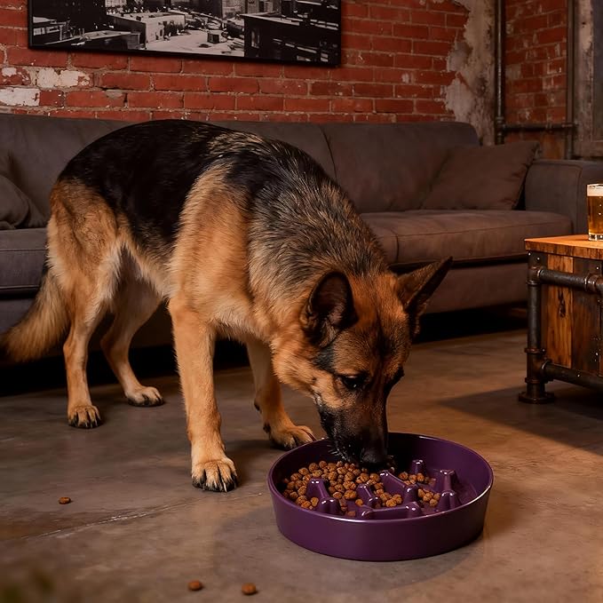 Ceramic Slow Feeder Dog Bowls, Ceramic Slow Feeder Maze Dog Food Bowl, Slow Eating Dog Bowl and Slow Feeder Dog Bowl Anti-Choking for Daily Pet Feeding （Purple Bone）