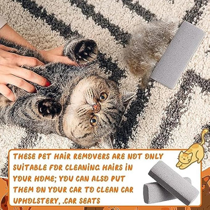 Abbylike 6 Pcs Pet Hair Remover Pumice Stone Reusable Portable Dog Cat Hair Removal Tool Scraper for Carpet,Couch, Bedding, Car Upholstery, Furniture Cleaning (6.1 x 2.56 x 1.4 Inch,Gray)