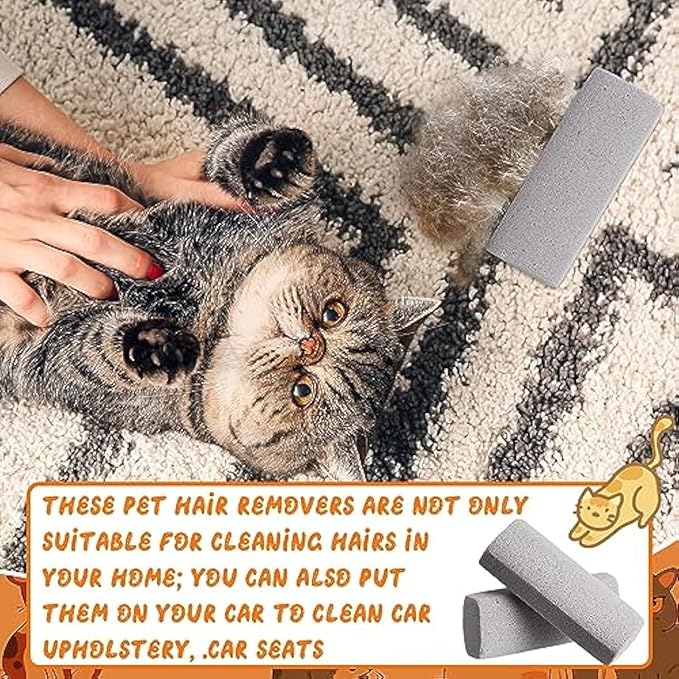 Abbylike 3 Pcs Pet Hair Remover Pumice Stone Reusable Portable Dog Cat Hair Removal Tool Scraper for Carpet,Couch, Bedding, Car Upholstery, Furniture Cleaning (6.1 x 2.56 x 1.4 Inch,Gray)