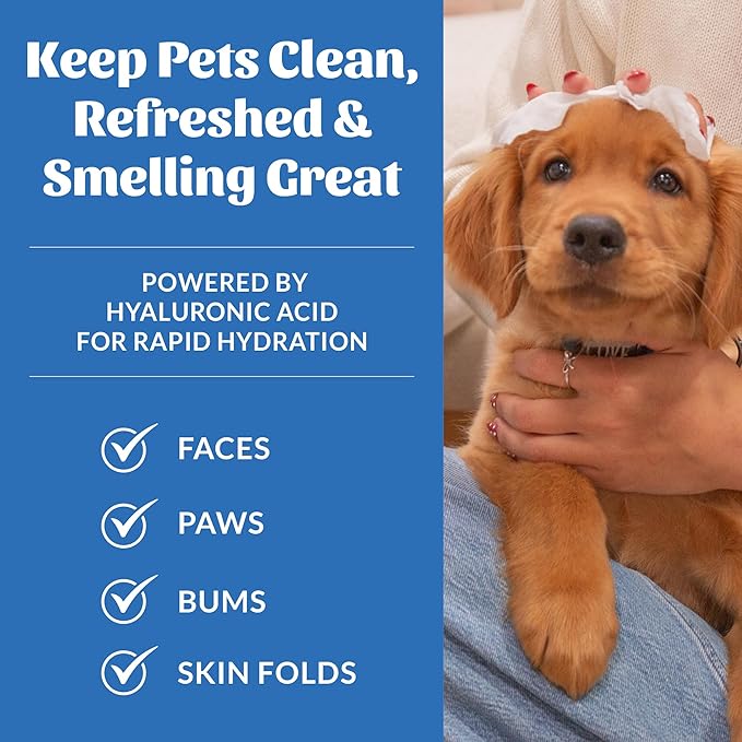 SKOUT'S HONOR HydroClear Grooming Wipes w/Hyaluronic Acid - for Your Dogs and Cats - Great for Hydration of Your Pets Skin and Fur - Fragrance-Free - 100ct