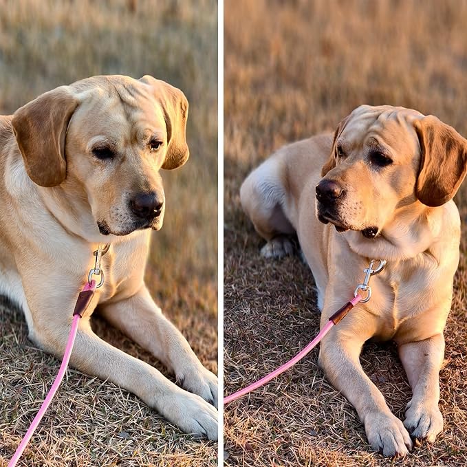 MayPaw 4/6 /8/10 FT Dog Leash, Classic Solid Colors, Strong Nylon Rope Dog Leash Reinforced with Leather Tailor Connection Heavy Duty Silver Clasp (Pink, 8ft*1/2")
