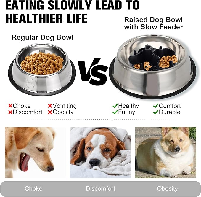 2-in-1 Metal Dog Bowl, Stainless Steel Dog Bowls Food Grade 304, Water Food Bowl with Anti-Slip Silicone Base for Small, Medium, Large Dogs (M-16.6oz)