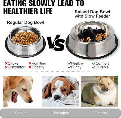 2-in-1 Metal Dog Bowl, Stainless Steel Dog Bowls Food Grade 304, Water Food Bowl with Anti-Slip Silicone Base for Small, Medium, Large Dogs (M-16.6oz)