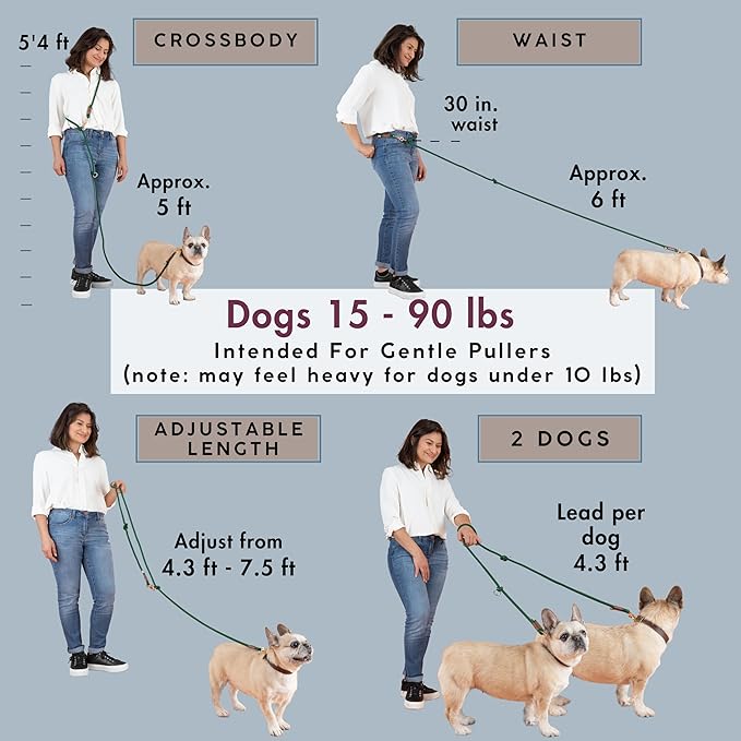 Hands Free Dog Leash, Waist Leash for Dog Walking, Running, Crossbody, Multifunctional, 2 Dogs, Dual Handle, Traditional Lead, Adjustable Lead 4.3ft - 7.5ft, 3/8" (10mm) Diameter.