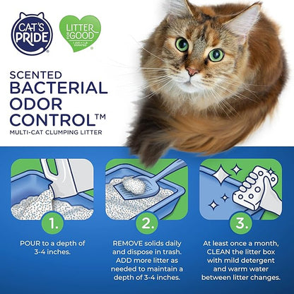 Cat's Pride Max Power: Bacterial Odor Control - Up to 10 Days of Powerful Odor Control - Strong Clumping - 99% Dust Free - Multi-Cat Litter, Scented, 15 Pounds (Pack of 2)