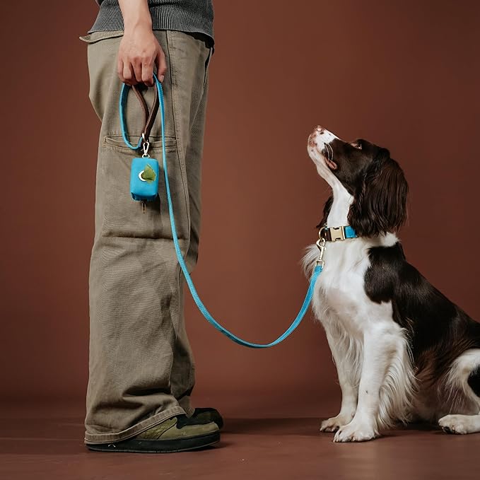 Didog Classic Dog Poop Bag Holder, Easy-Pull and Elegant PU Leather Pet Waste Bag Dispenser for Leash with Carabiner Clip, Includes 1 Roll Dog Waste Bag for Daily Walking,Light Blue