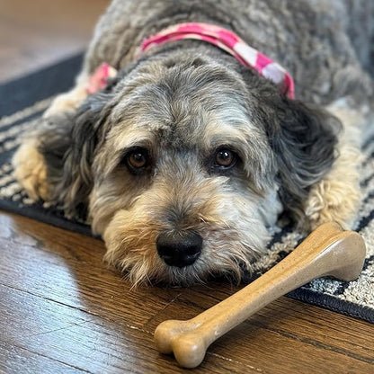 SPOT Bam-Bones Bone - Made with Strong Bamboo Fiber, Durable Long Lasting Dog Chew for Light to Moderate Chewers, Great Toy for Adult Dogs & Teething Puppies under 40lbs, 7.25in, Chicken Flavor