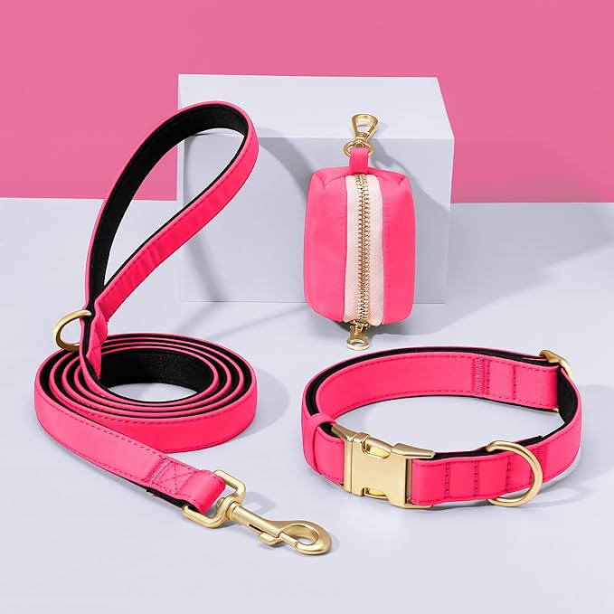 Didog 5FT Colorful Nylon Dog Leash with Soft Full-Length Padding, Lightweight and Durable Pet Leash for Medium and Large Dogs, Pink, M
