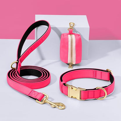 Didog 5FT Colorful Nylon Dog Leash with Soft Full-Length Padding, Lightweight and Durable Pet Leash for Medium and Large Dogs, Pink, M