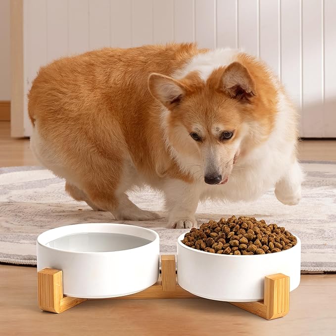 White Ceramic Dog & Cat Bowl Set – 13.5 OZ with Wooden Stand, Non-Slip, Elevated Design for Small Dogs & Cats – 2 Bowls (Food & Water, Ceramic Pet Bowls, Modern Dog Bowls)
