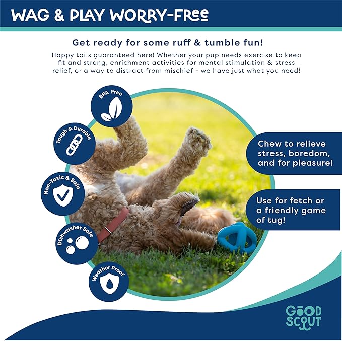 Good Scout Cage Ball Dog Toy for Tugging & Chewing, Best Dog Toy for Fetch, Aggressive Chew Toy for Puppies & Adult Dogs, No Stuffing Dog Toy for Medium & Large Dogs