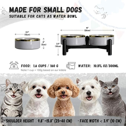 Elevated Ceramic Dog Bowl Set - Double Dishes with Stainless Steel Stand – Raised Feeding Bowls for Cats and Small Dogs - Food & Water Set - 5" / 1.6 Cups (160 g / 300 ml) - Gray
