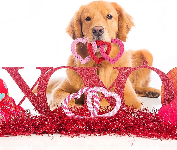 Whaline 3 Pieces Heart Dog Chew Toys Heart Shaped Dog Rope Red Pink Pet Chew Rope Puppy Throwing Toy for Valentine's Day Small Medium Pet Teaching Teeth Cleaning Chewing Supplies