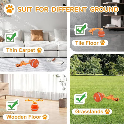 2pcs P06 Interactive Dog Toys Dog Balls, Electric Automatic Moving and Rolling Dog Toy with Rope for Small Medium Dogs, Fun Smart Puppy Toy s for Boredom & Training, Dog Toys to Keep Them Busy (B+O)