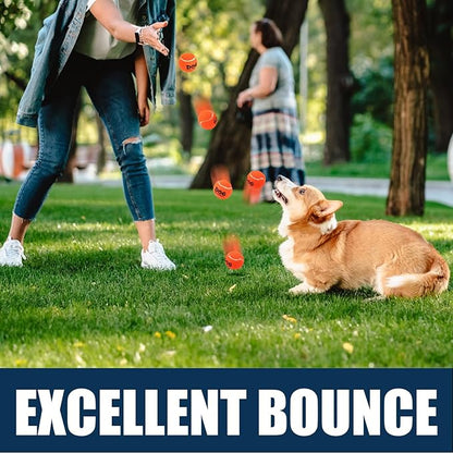 AMA SPORT Tennis Balls for Dogs 12 Pack 2.5" Multi Colors Dog Tennis Balls for Puppy Small Medium Dog Toys, Designed for Dogs Floating Water-Hunting Fetch Fun Playing Daily Exercise Mid-air Catching