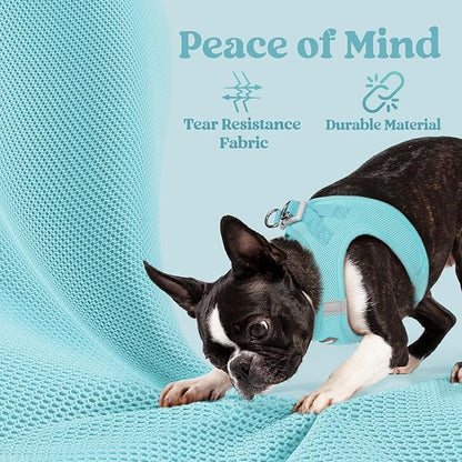 rabbitgoo Small Dog Harness, Step-in Soft Mesh Puppy Vest with Safety Buckle, Breathable Reflective Pet Harness for Large Dogs, Mint Blue XXL