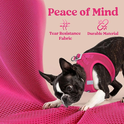 rabbitgoo Small Dog Harness, Step-in Soft Mesh Puppy Vest with Safety Buckle, Breathable Reflective Pet Harness for Extra Small Dogs, Rose Red XXS