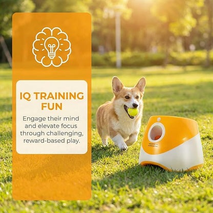 Pet Dog Ball Launcher Automatic Ball Throwing Machine Tennis Ball Launcher Dog Interactive Toy Outdoor