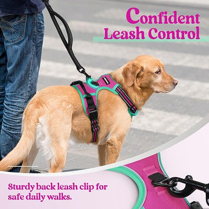 rabbitgoo Dog Harness No Pull with 2 Leash Clips, Adjustable Soft Padded, Reflective Oxford No Choke Pet Vest with Easy Control Handle for Large Dogs, Hot Pink & Turquoise, XL