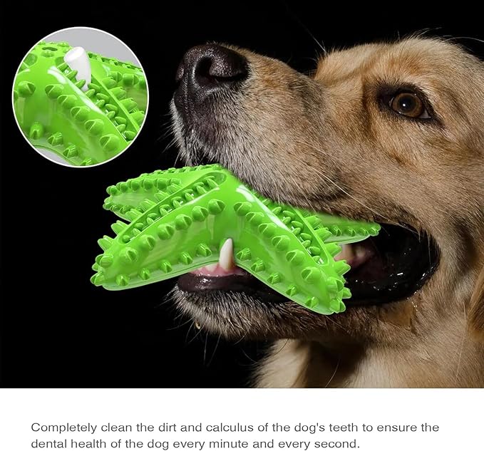Pupix Chew Toy for Dog Aggressive Chewers Toothbrush Stick Pets Interactive Toys Tough Puppy Chew Treats for Small Medium Dogs Toy to Keep Them Busy, Green