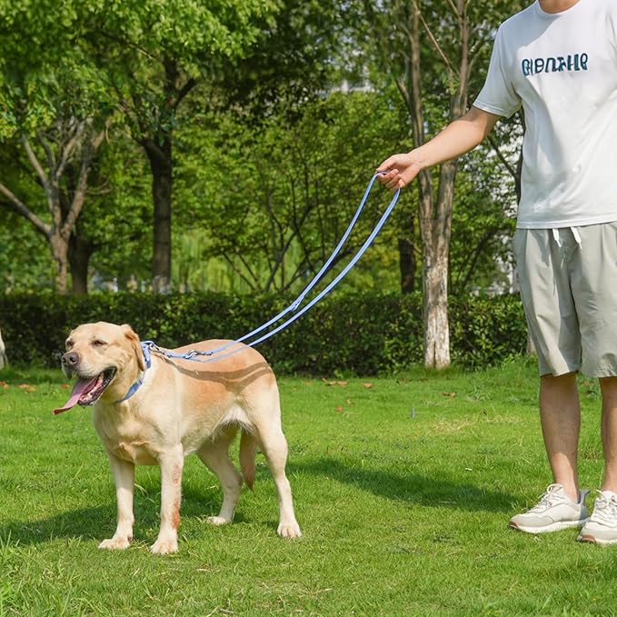 Waterproof Dog Leash with Poop Bag Holder, 5FT/6FT Adjustable Length with 2 Swivel Hooks, Odor-Free & Easy-Clean Dog Lead for Large Medium Small Dogs