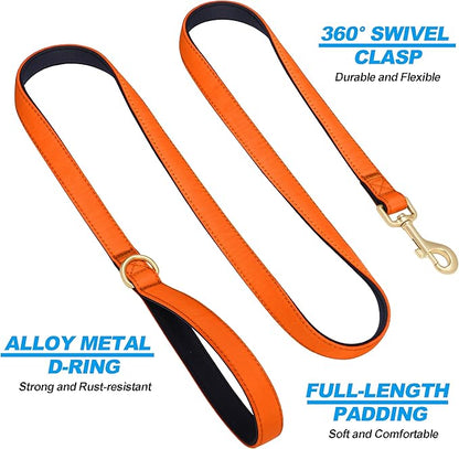 Didog 5FT Colorful Nylon Dog Leash with Soft Full-Length Padding, Lightweight and Durable Pet Leash for Small Dogs, Orange, S