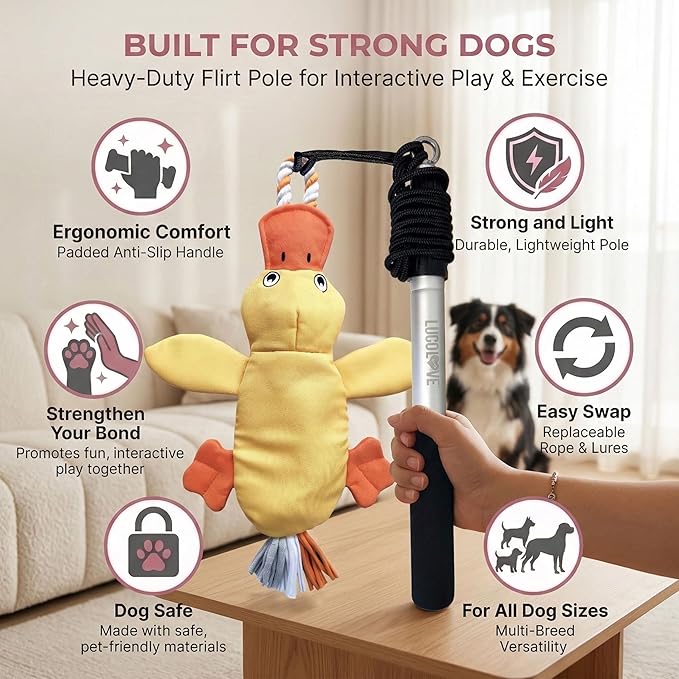 Flirt Pole for Dogs Heavy Duty - Multi-Sensory Tough Chase Toy for Medium & Large Breeds – Extra Strong 35" Dog Teaser Wand for Backyard Play, Training and Interactive Fun (Duck)