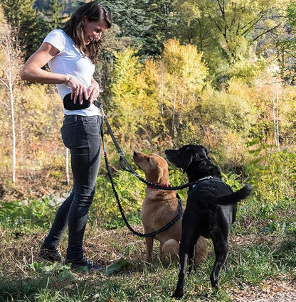 Happilax Jogging Leash for Dogs, Elastic and Reflective Nylon Dog Leash for Jogging with Belly Strap, for Medium Dogs 100-160 cm