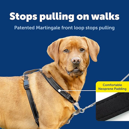 PetSafe 3-in-1 Harness - Comfortable Easy-Walk Dog Chest Harness with Front Leash Attachment to Reduce Pulling, Choking & Gagging - Dog Obedience Gear - Large - Black