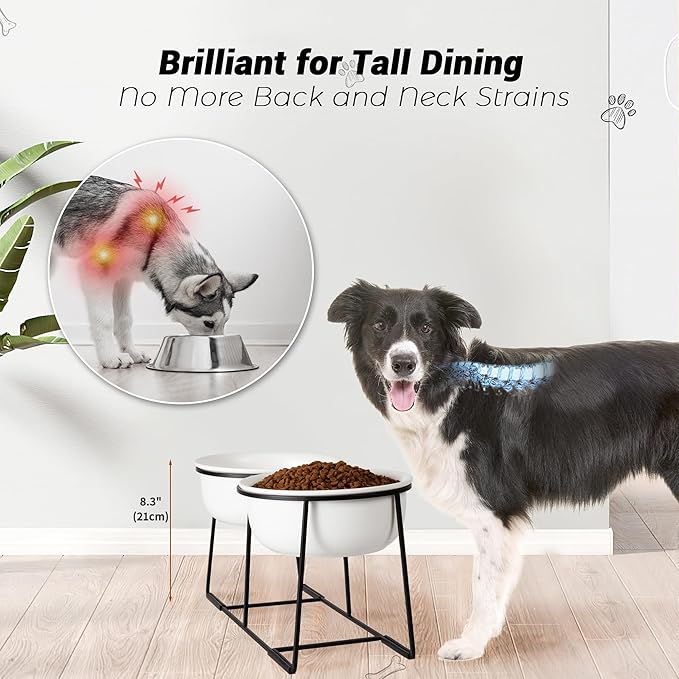 Ceramic Elevated Dog Bowl Set - Raised Double Feeding Bowls with Metal Stand - Pet Dishes for Medium and Large Dogs - 3.5 Cups - 54 fl oz - Matte White