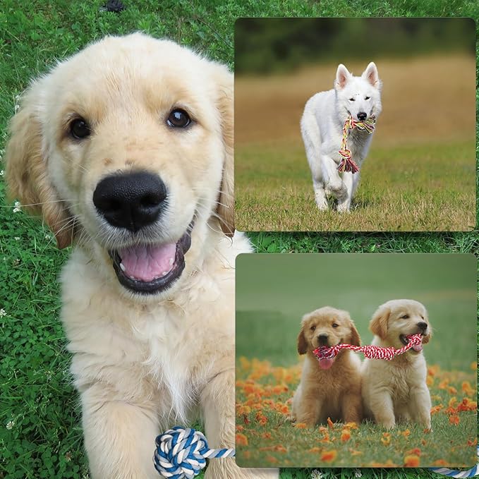 16 Pcs Small Dog Rope Toys, Puppy Tug of War Toy Set for Small Breeds 0-15 Lbs, Cotton Dog Tug Toys for Boredom, Teething & Interaction