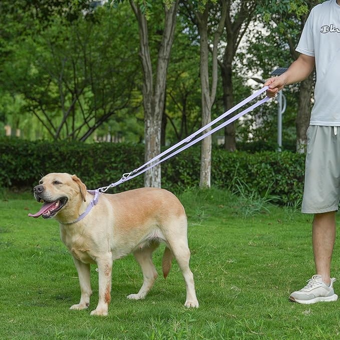 Waterproof Dog Leash with Poop Bag Holder, 5FT/6FT Adjustable Length with 2 Swivel Hooks, Odor-Free & Easy-Clean Dog Lead for Large Medium Small Dogs