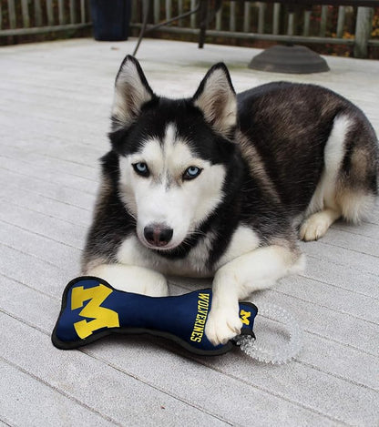 Pets First NCAA Michigan Wolverines Dental Dog TUG Toy with Squeaker. Tough PET Toy for Healthy Fun, Teething & Cleaning Pets Teeth & Gum