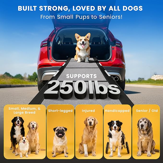 Portable Dog Ramp for Car – Foldable Dog Car Ramp for Truck, SUV, High Bed & Sofa with Anti-Slip Feet & Traction Carpet – Small to Large Breeds (71" Long & 17" Wide)