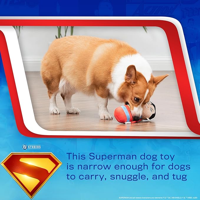DC Comics Superman 8” Plush S-Shield Toy for Dogs with Squeaker, Inspired by The Film, Officially Licensed DC Super Heroes Pet Product