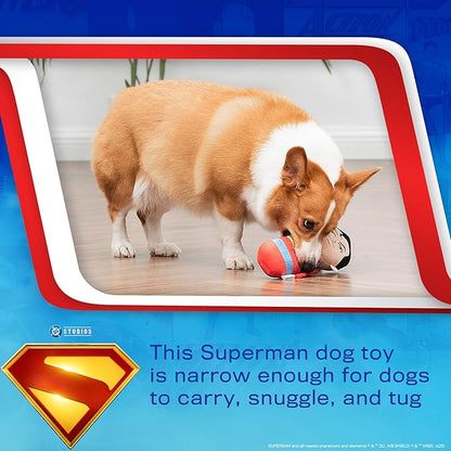 DC Comics Superman 8” Plush S-Shield Toy for Dogs with Squeaker, Inspired by The Film, Officially Licensed DC Super Heroes Pet Product