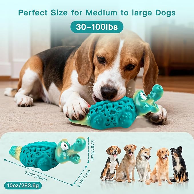 Dog Chew Toys for Aggressive Chewers, Tough Squeaky Dog Toy for Large Medium Dogs, Bacon Flavor Nylon & Natural Rubber, Dental Care Interactive Dog Toys to Reduce Boredom, Teal