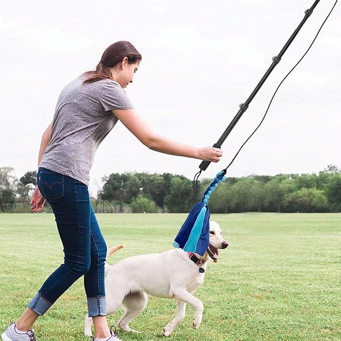 Flirt Pole for Dogs, Interactive Toys Tug-of-war for Dogs, Four-Section Retractable Adjustable Length, Chase Toys with Rope Chewing Sticks, for Outdoor Exercise & Training