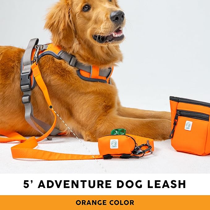 Embark Adventure Dog Leashes - Colorful, Strong, and Sturdy Dog Leash for Small, Medium, and Large Breed Dogs (Orange, 5 Ft)